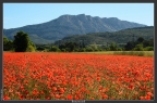 Sainte-Victoire