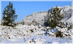Neige